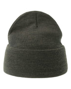 Atlantis Headwear Sustainable Beanie PURE
