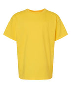 Gildan Youth Softstyle® Midweight T-Shirt 65000B