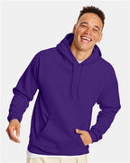 Hanes Unisex EcoSmart® Hooded Sweatshirt P170