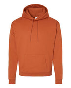 Hanes Unisex EcoSmart® Hooded Sweatshirt P170