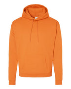 Hanes Unisex EcoSmart® Hooded Sweatshirt P170