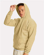 Hanes Unisex EcoSmart® Hooded Sweatshirt P170