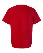 ComfortWash by Hanes Men's Garment-Dyed T-Shirt GDH100