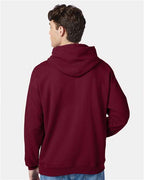 Hanes Unisex EcoSmart® Hooded Sweatshirt P170