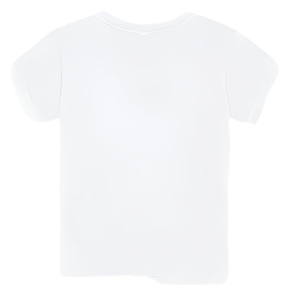 Bella + Canvas 3001T | Toddler Jersey Tee