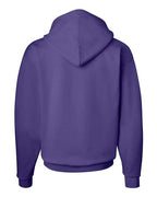 Hanes Unisex EcoSmart® Hooded Sweatshirt P170