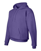 Hanes Unisex EcoSmart® Hooded Sweatshirt P170