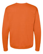 Hanes Unisex EcoSmart® Crewneck Sweatshirt P160