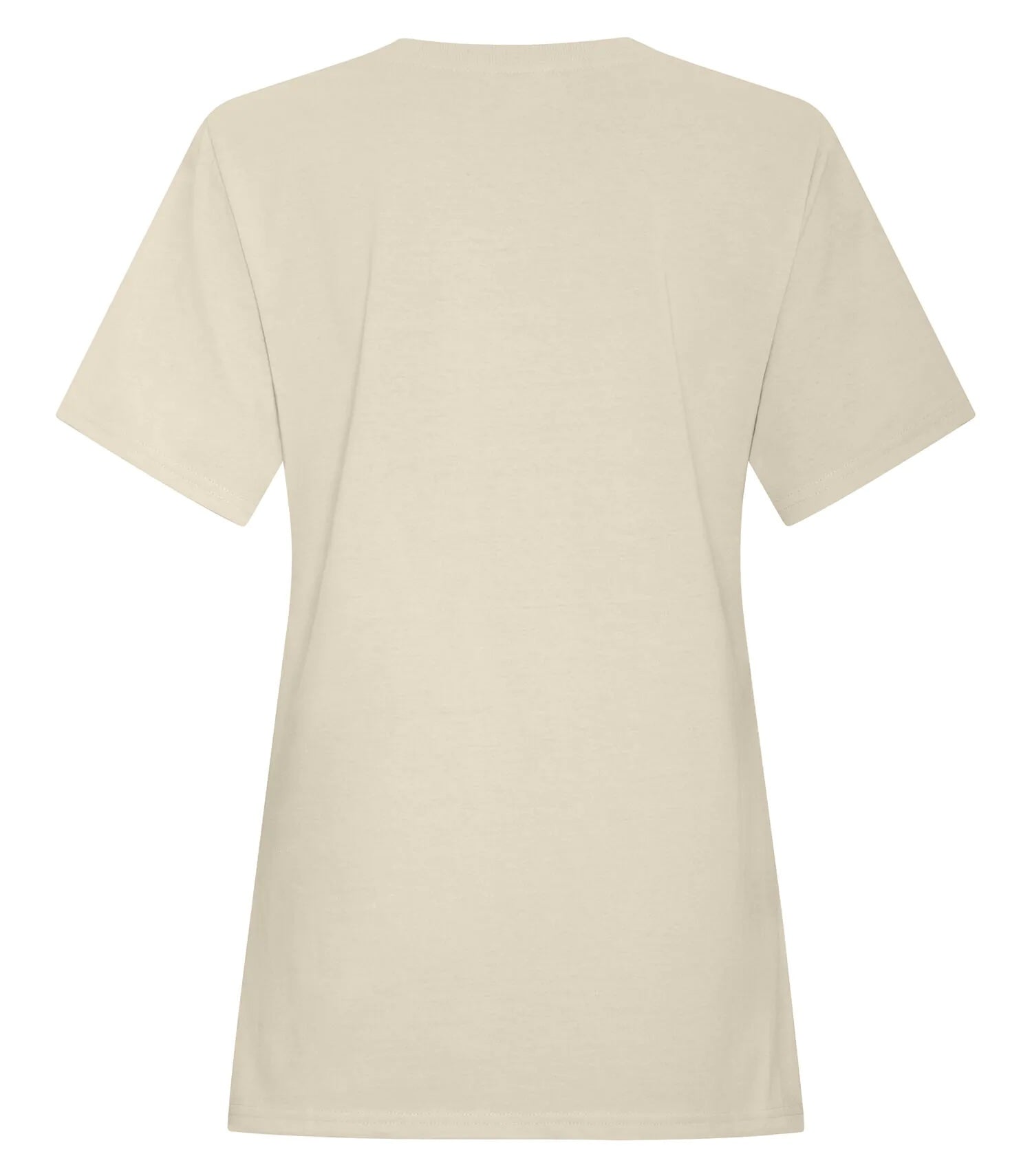 ATC 6040L | Earth Wash Ladies Tee